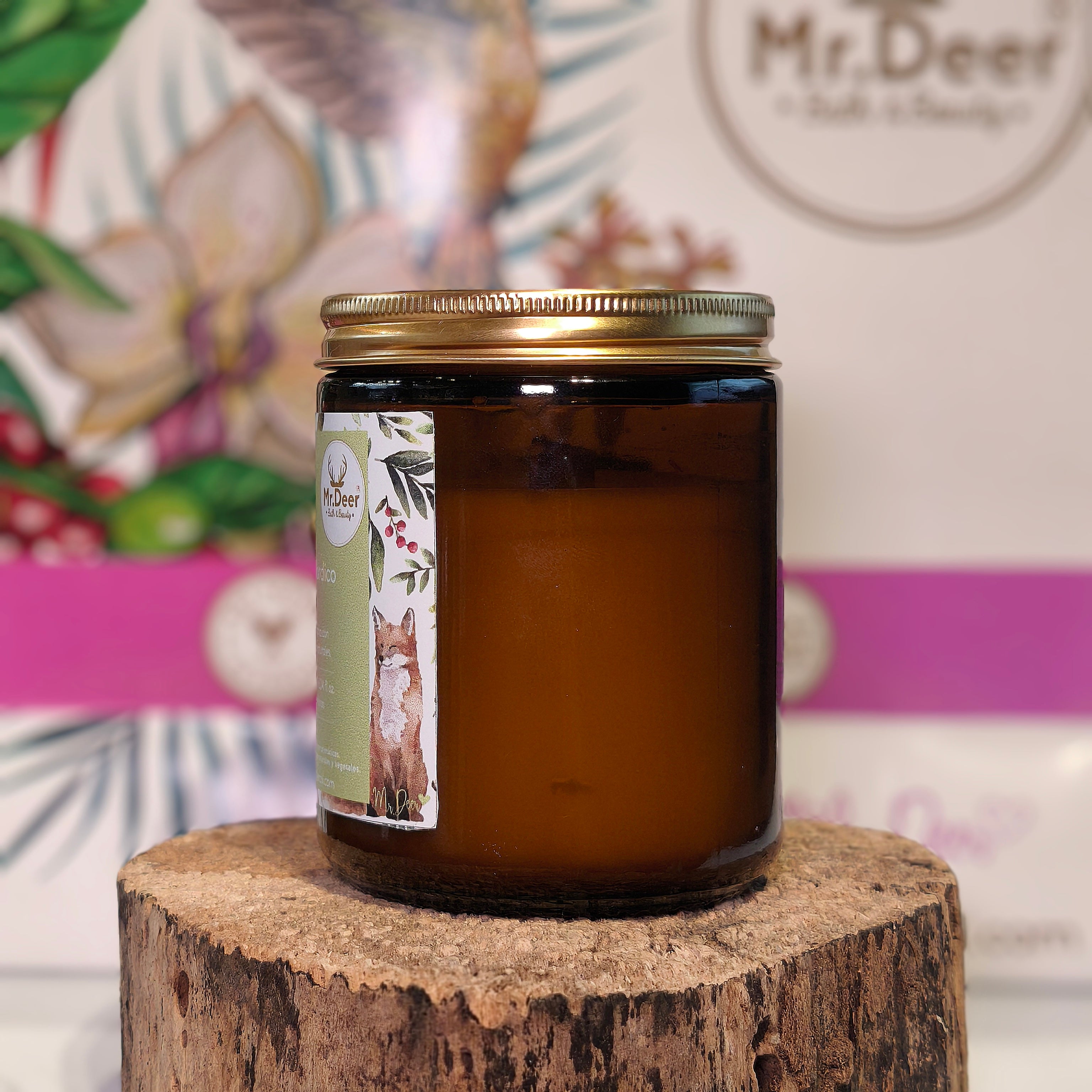 Vela Clásica Bosque Nórdico