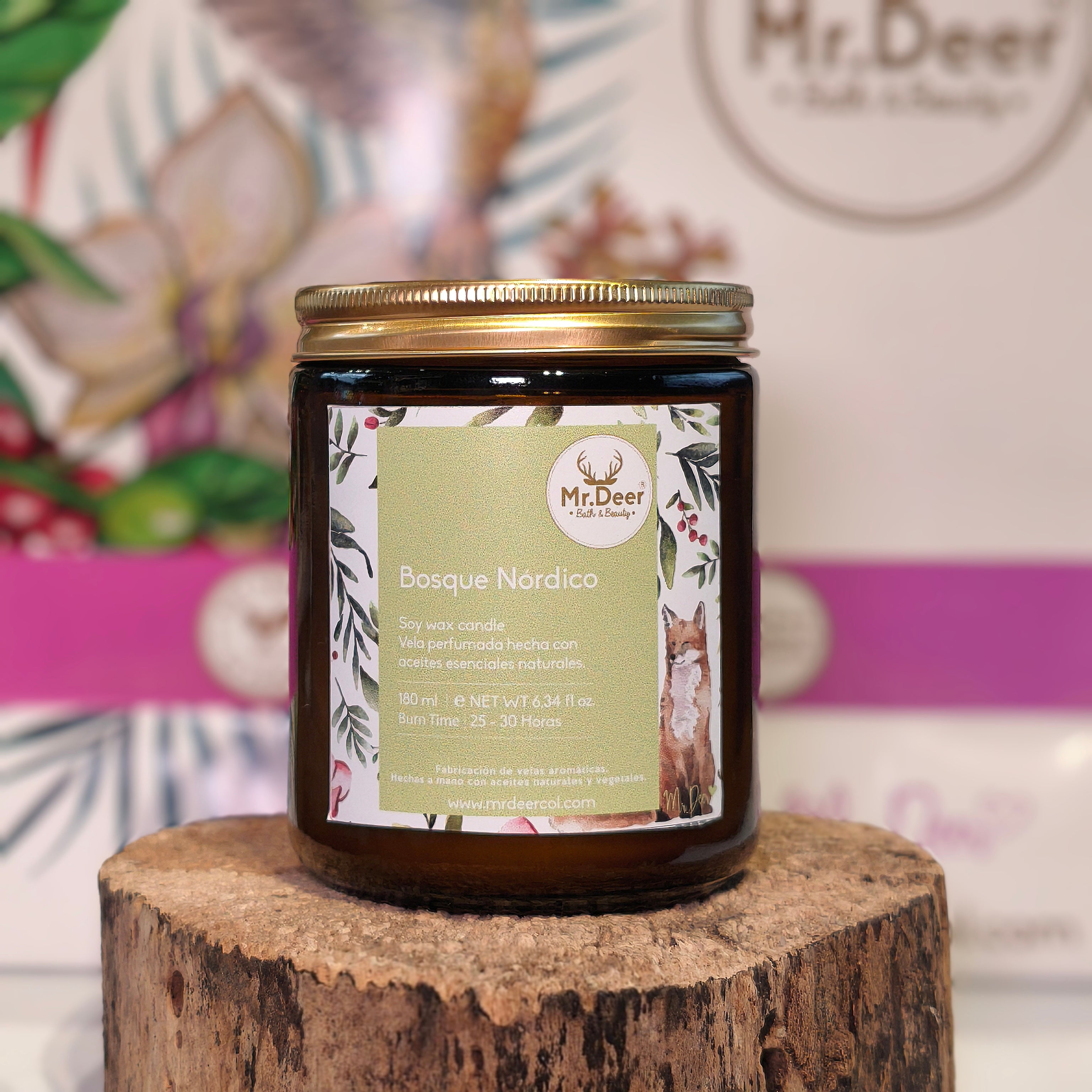 Vela Clásica Bosque Nórdico